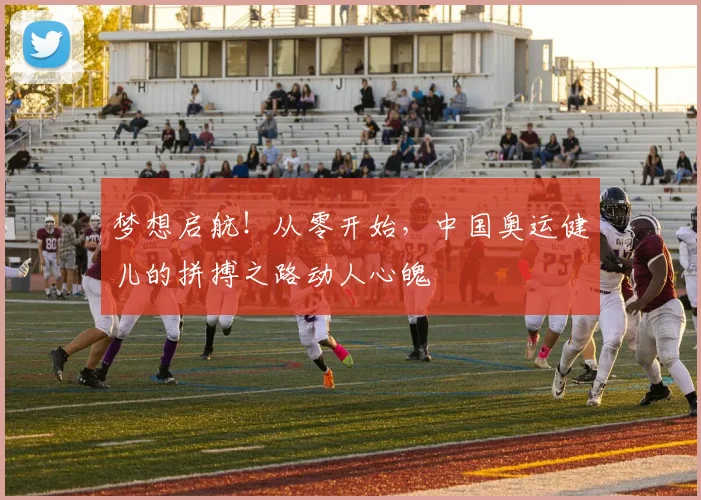 梦想启航！从零开始，中国奥运健儿的拼搏之路动人心魄